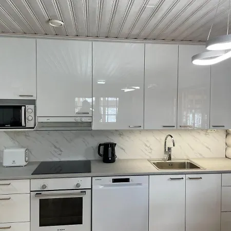 Joutsen With Jacuzzi * Vuoriniemi