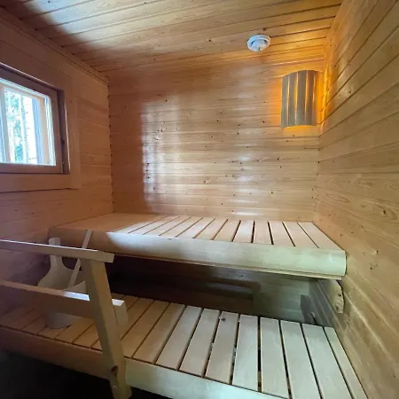 Joutsen With Jacuzzi Villa