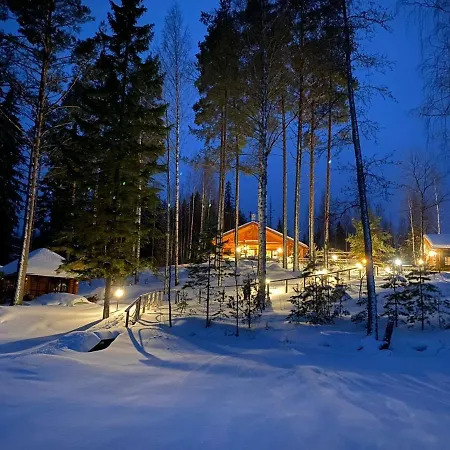 Joutsen With Jacuzzi Villa