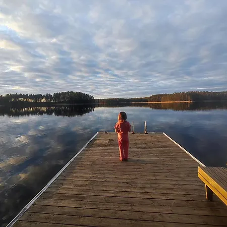 Joutsen With Jacuzzi Villa