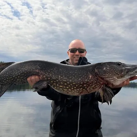 Villa Fishing Joutsen On The Saimaa With Jacuzzi