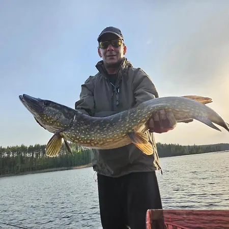 Villa Fishing Joutsen On The Saimaa With Jacuzzi