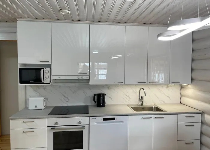 Joutsen With Jacuzzi * Vuoriniemi