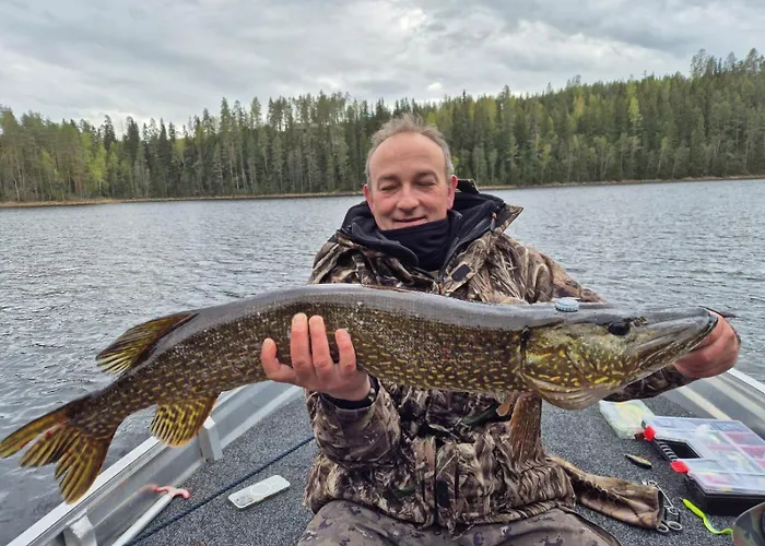 Joutsen With Jacuzzi * Vuoriniemi